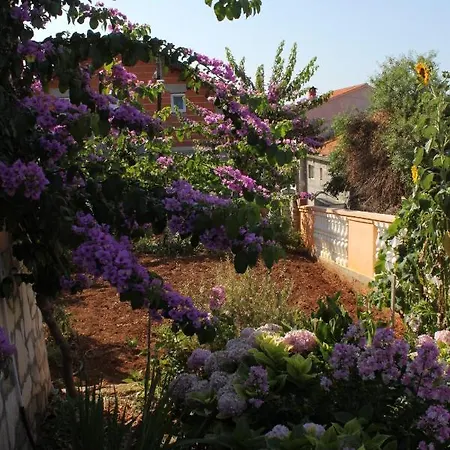 With Parking Space Sali, Dugi Otok - 8153 * Sali