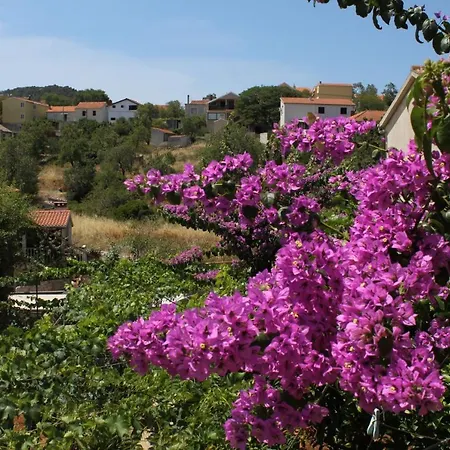 Апартаменты With Parking Space Sali, Dugi Otok - 8153 *
