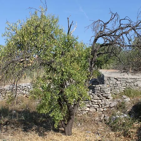 With Parking Space Sali, Dugi Otok - 8153 *