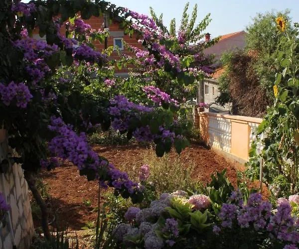 With Parking Space Sali, Dugi Otok - 8153 * Sali