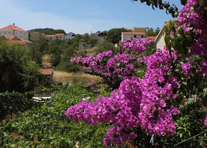 Апартаменты With Parking Space Sali, Dugi Otok - 8153 *